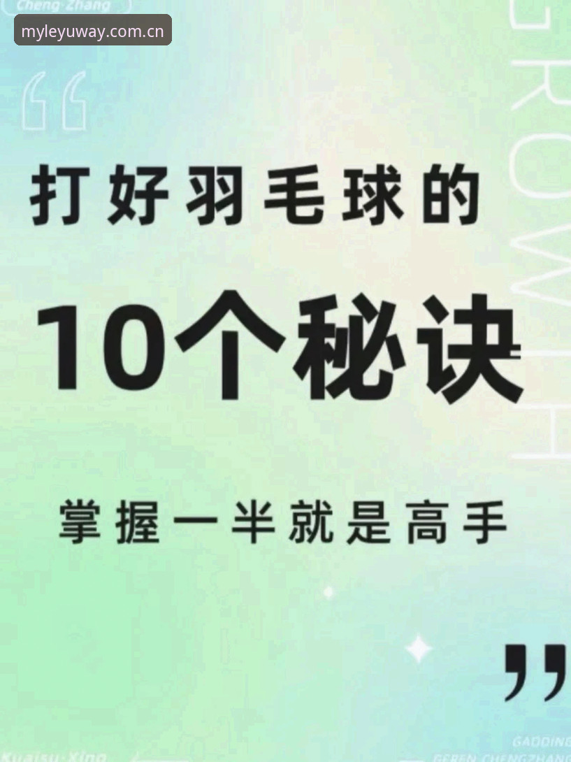 乐鱼体育平台2026安全性深度评测：一位五年老用户的实测记录与风险清单